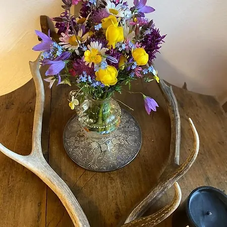 Apartman Tessenberg Mountain Retreat Heinfels